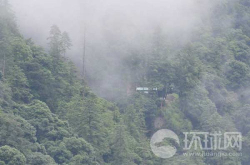 ��ӡ߅����ӡ܊���(b��o)վ���[��ԭʼɭ������