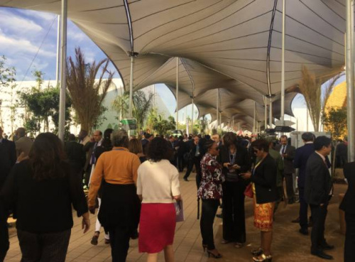 �R������������F(xi��n)����<a target='_blank' >������</a>�፹ �z��