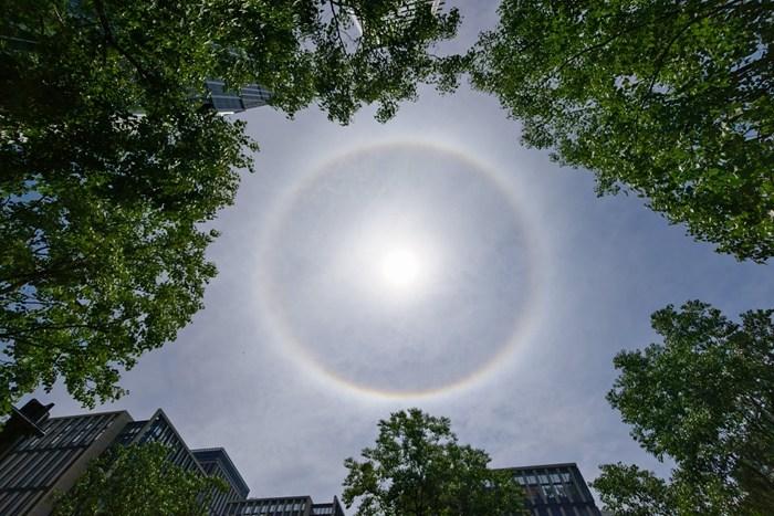 上海天空現(xiàn)巨大日暈 光圈完整清晰