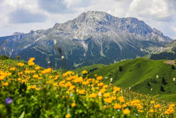 新疆伊昭公路：奇美風(fēng)光引客來(lái)