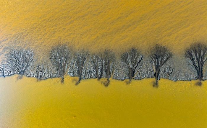 浙江海寧：錢塘江畔壯美“潮汐樹”