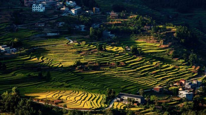 航拍陜西漢陰古梯田 秋景如畫