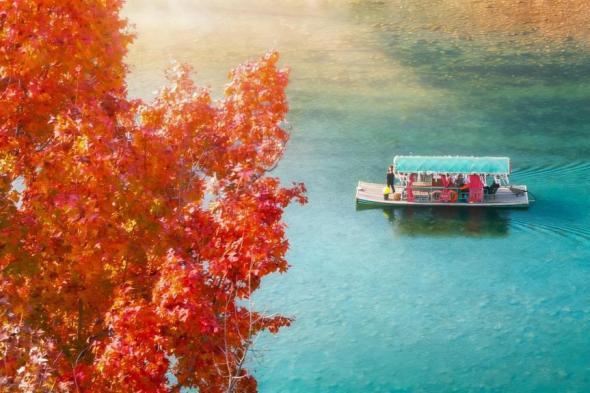 浙江永嘉：楠溪江畔紅楓艷 色彩斑斕美如畫(huà)