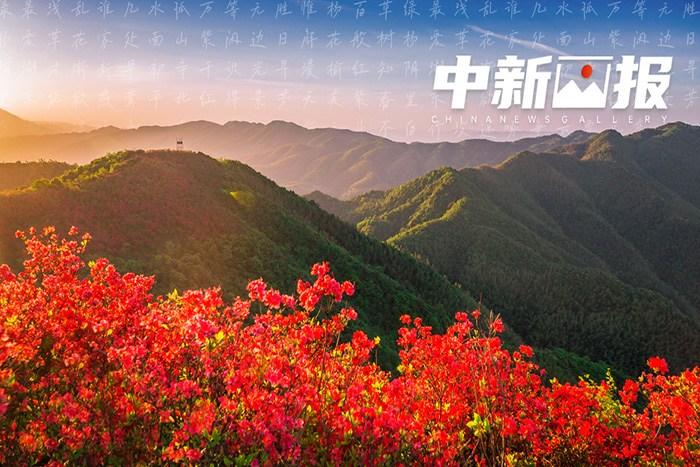 有一種春叫“萬紫千紅”