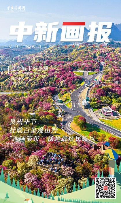 【這個城市有點潮】貴州畢節(jié):杜鵑百里漫山野 “地球彩帶”揚起最炫民族風