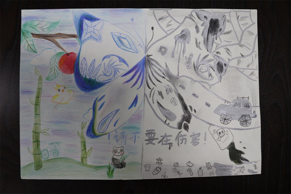 《請(qǐng)不要再傷害！》孫妙然 11歲