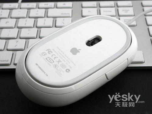 Vista�Ԝy5.7�����¿�24��Apple iMac�u�y