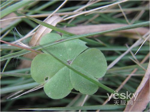 ���������Ҹ� ������H���Ô�(sh��)�a���C(j��)���]