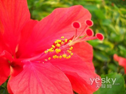 ����߀��Ϧ�(y��ng)�t ʮһ�����������C(j��)�xُ(g��u)?f��)��]