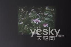 ��D�錦��ǰ���҈D�錦����