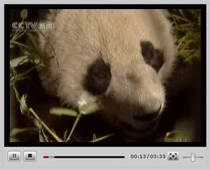 �c(di��n)���^(gu��n)��ҕ�l