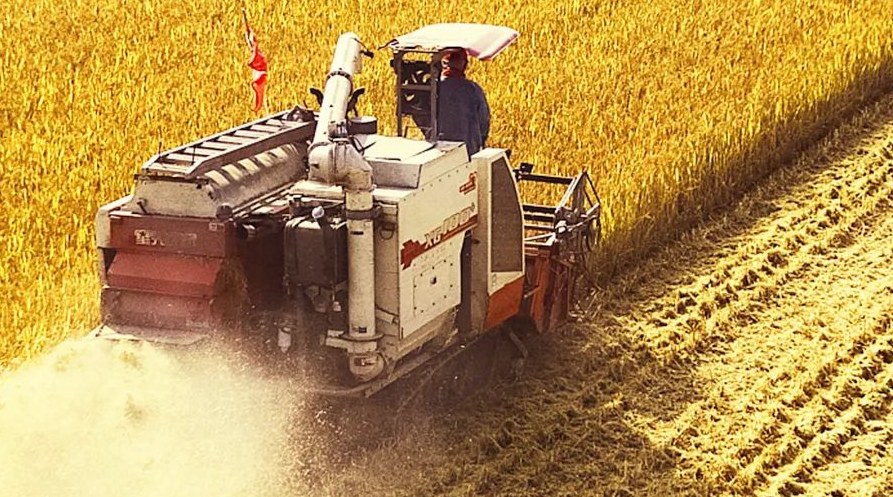 “察實(shí)情、辦實(shí)事、求實(shí)效”，這十句話，振奮人心！