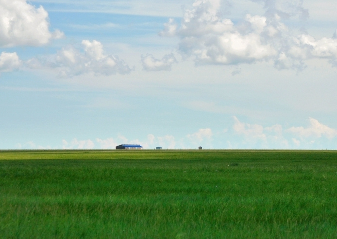 這個(gè)夏天，留一幀給“呼倫貝爾綠”
