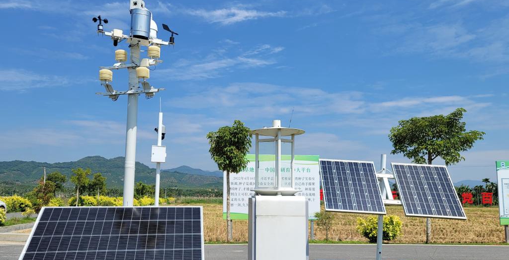 探訪在種業(yè)科研和創(chuàng)業(yè)熱土中成長(zhǎng)的三亞“南繁硅谷”<p>晚秋的三亞，午間陽(yáng)光依然炙熱。在崖州區(qū)壩頭南繁基地，由太陽(yáng)能電池板提供能源，生態(tài)監(jiān)測(cè)系統(tǒng)、物聯(lián)網(wǎng)蟲情信息采集系統(tǒng)不間斷工作。<p>