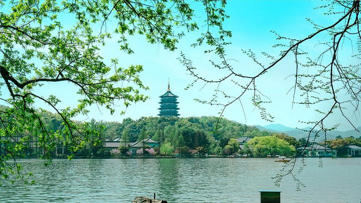 江山如此多嬌 | 西湖美景，八月天吶