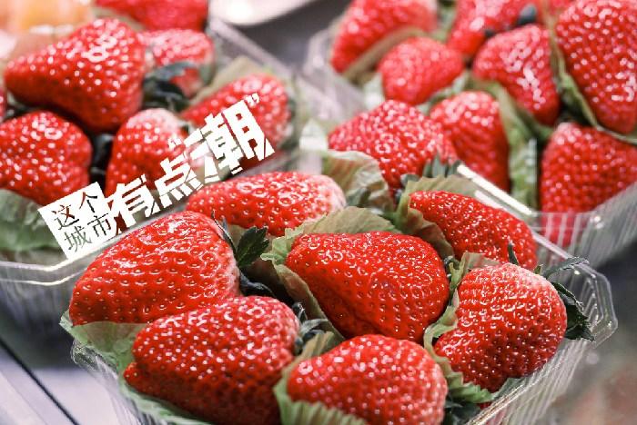 丹東：這一口鮮甜，開(kāi)啟冬日“莓”好時(shí)光