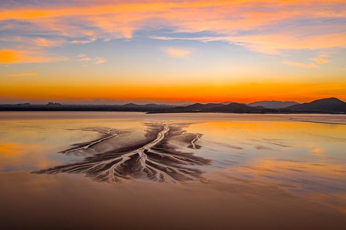 絢麗朝霞映照錢塘江“潮汐樹”
